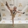 dancer
